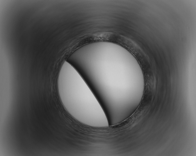 X0000097850649200803201539