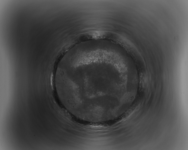 X0000097850650200803201539