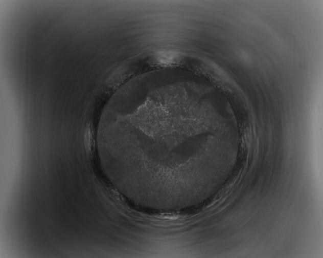 X0000097850651200803201539