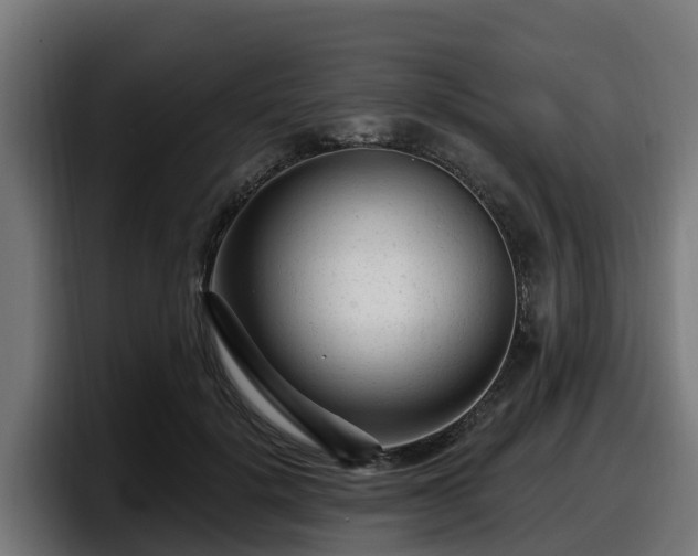 X0000097850652200803201539