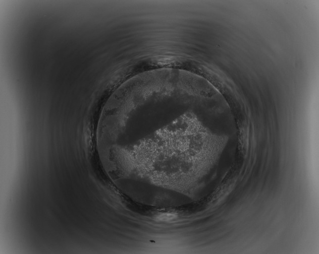 X0000097850653200803201539