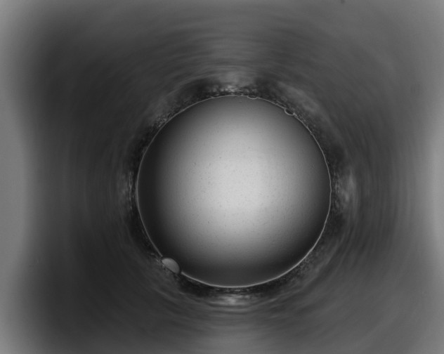 X0000097850657200803201539