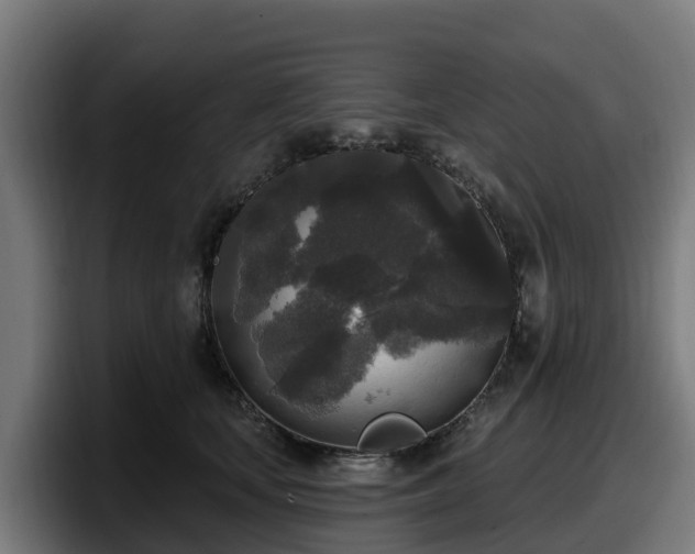 X0000097850659200803201539