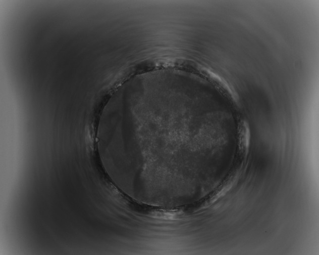 X0000097850661200803201539