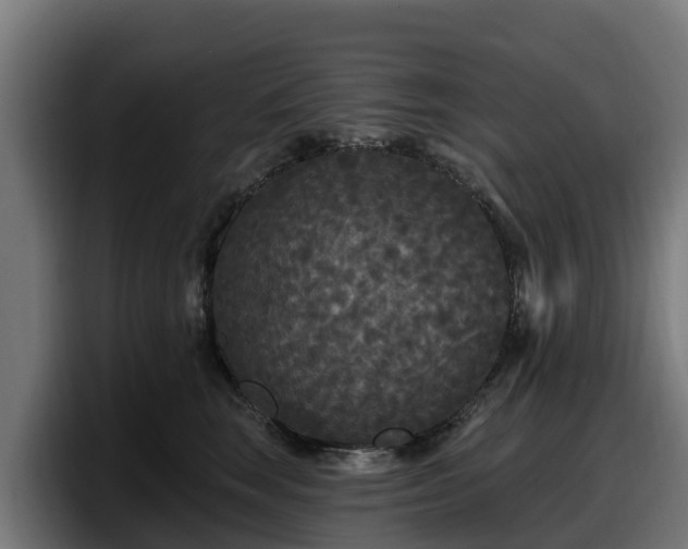 X0000097850663200803201539