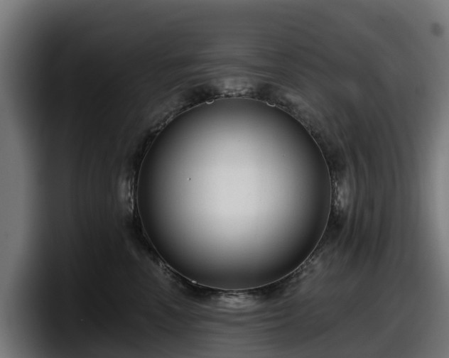 X0000097850666200803201539