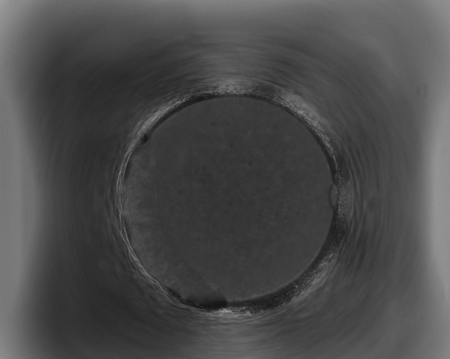 X0000097850673200803201538