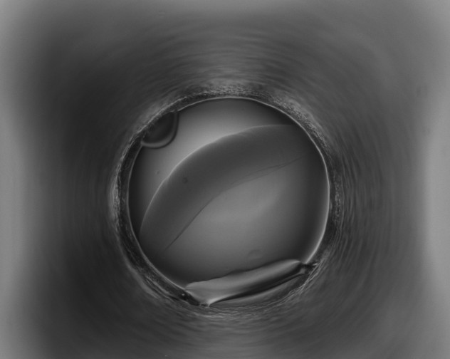 X0000097850674200803201538