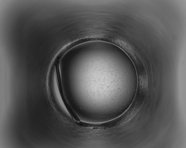 X0000097850676200803201538