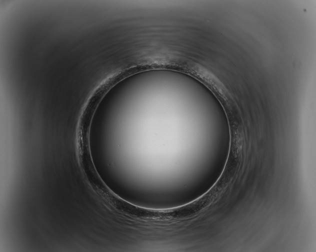 X0000097850680200803201538