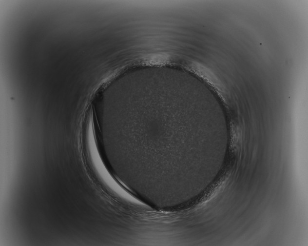 X0000097850681200803201538