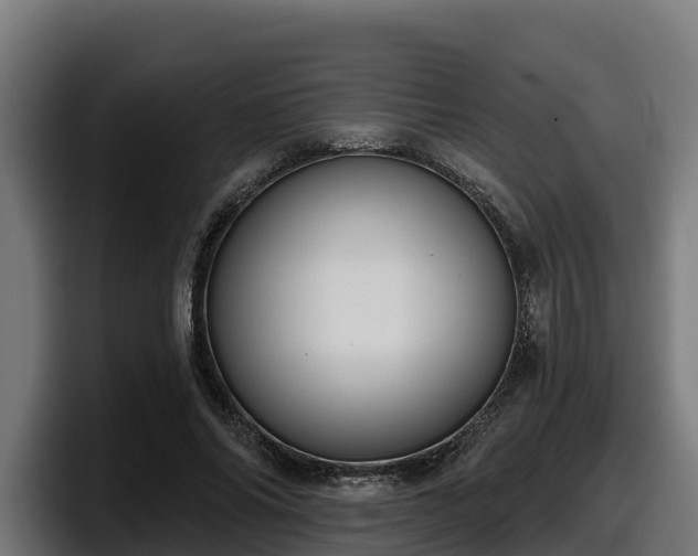X0000097850686200803201538