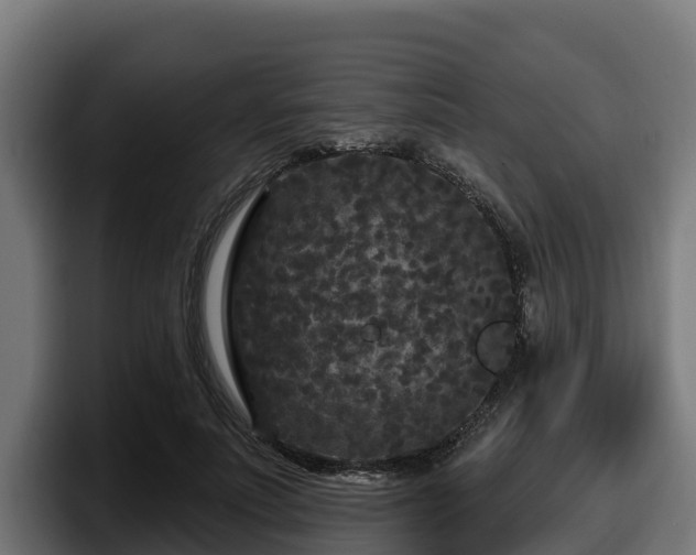 X0000097850691200803201538