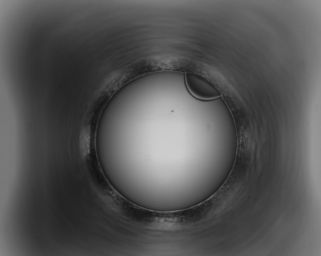 X0000097850694200803201538
