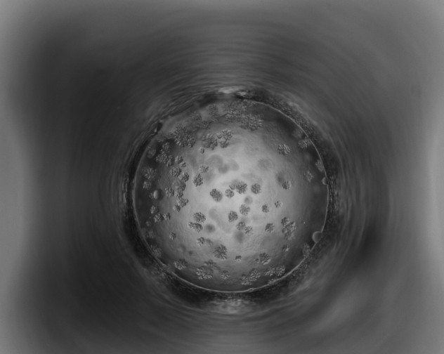 X0000097850695200803201538