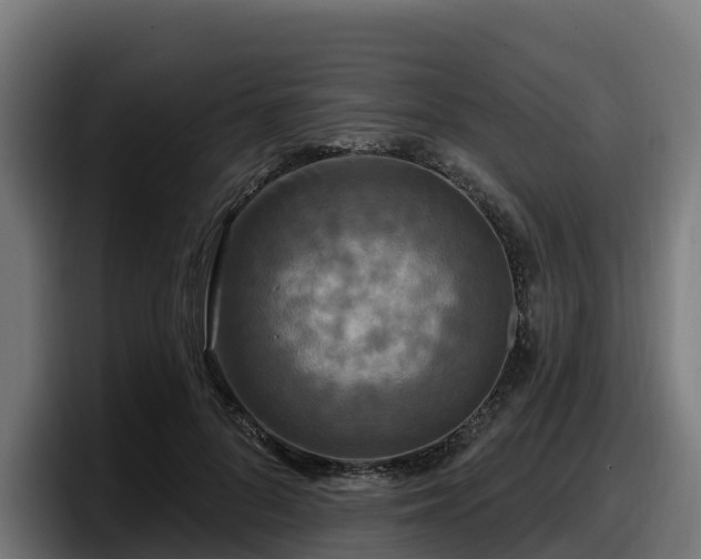X0000097850696200803201538
