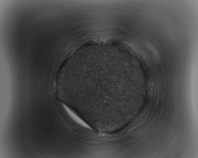 X0000097850699200803201538