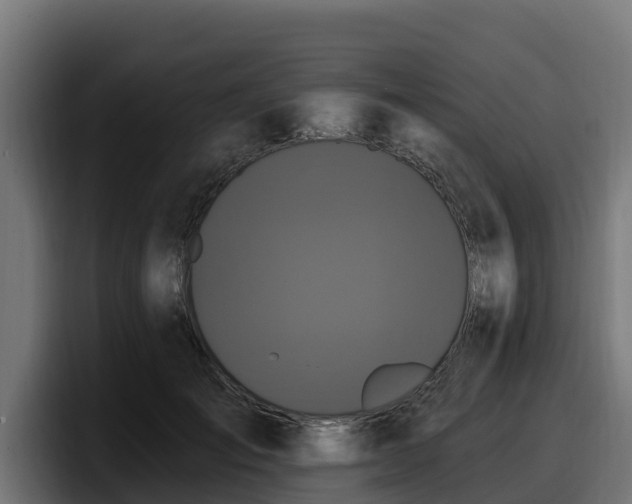 X0000097850701200803201538