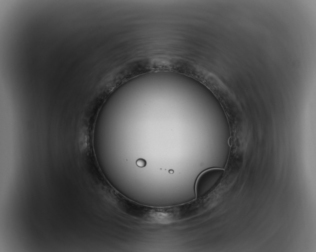 X0000097850706200803201538