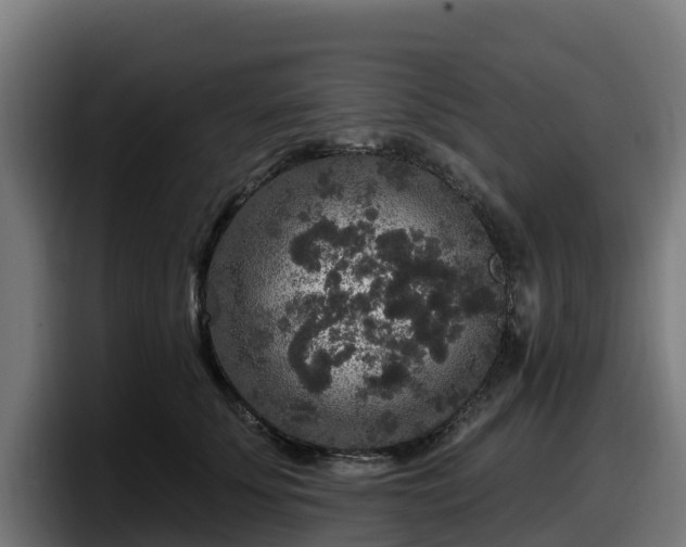 X0000097850707200803201538