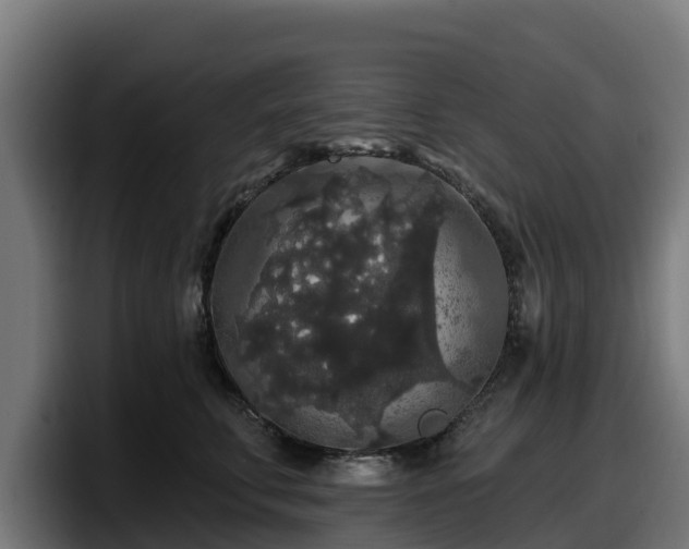 X0000097850711200803201538