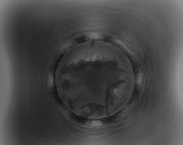 X0000097850715200803201538