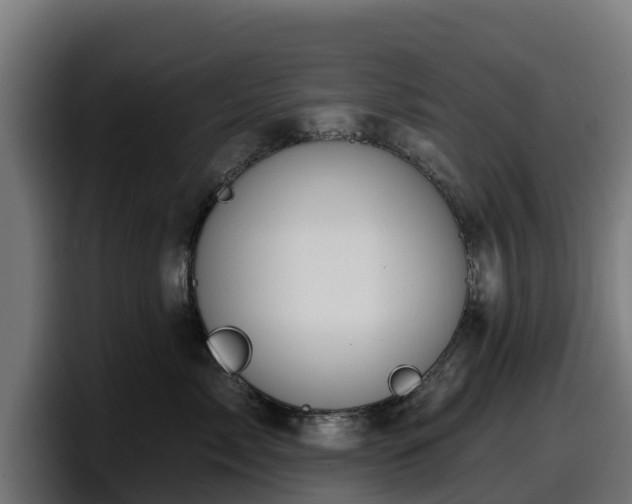 X0000097850717200803201538