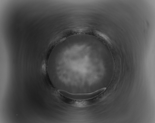 X0000097850720200803201538
