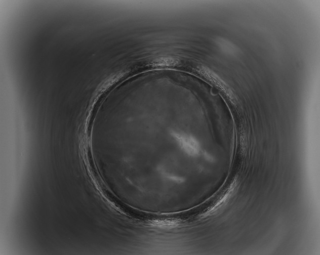 X0000097850721200803201537