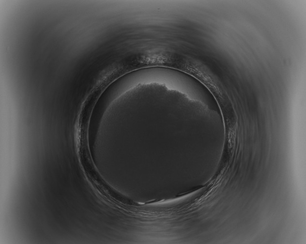 X0000097850722200803201537