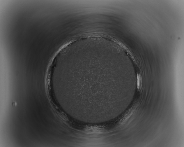 X0000097850723200803201537