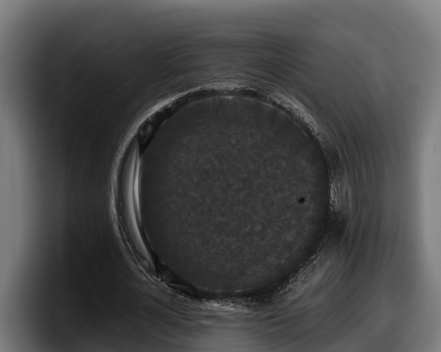X0000097850724200803201537