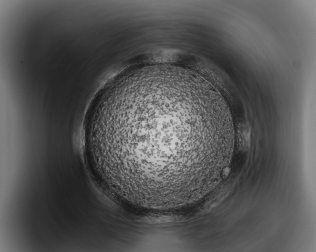 X0000097850726200803201537