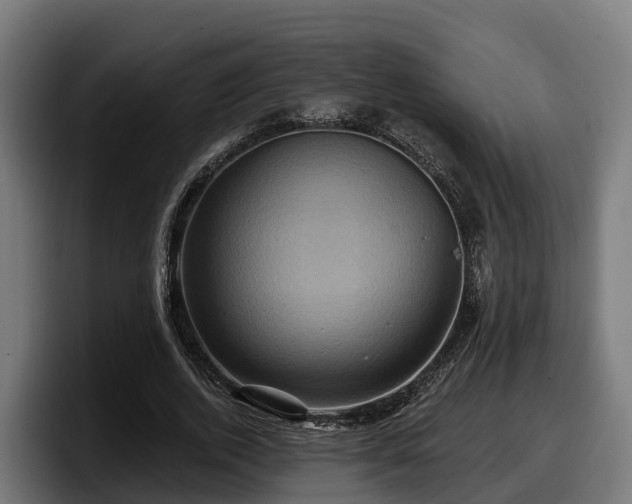 X0000097850728200803201537