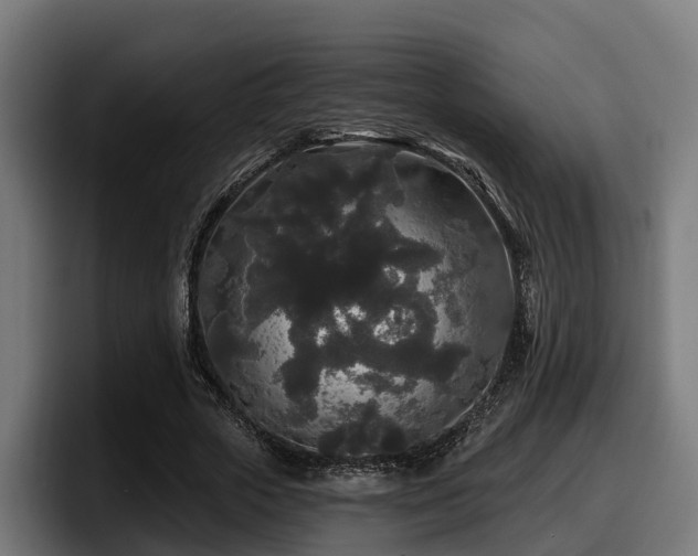 X0000097850729200803201537