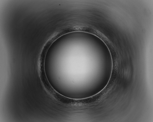 X0000097850730200803201537