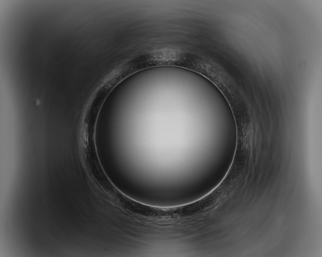 X0000097850731200803201537