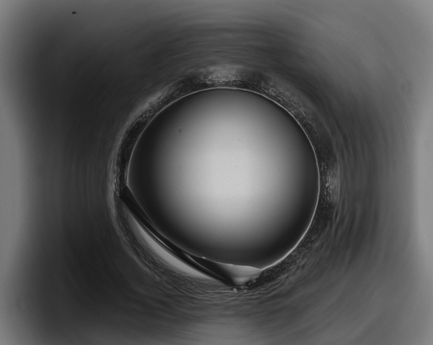 X0000097850732200803201537
