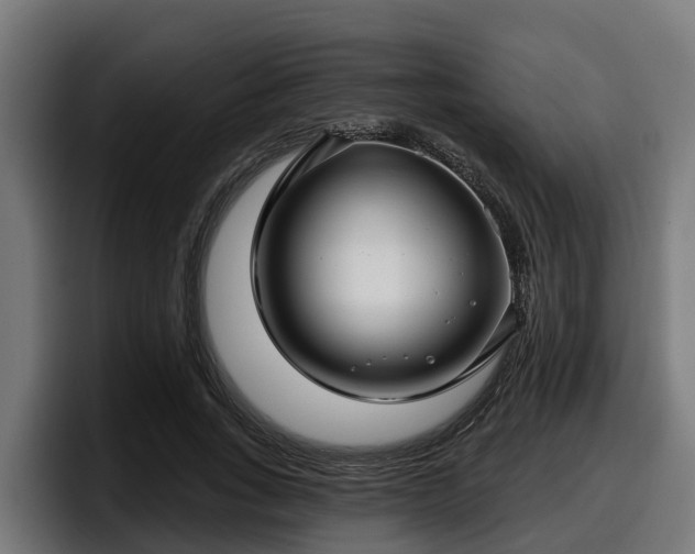 X0000097850735200803201537
