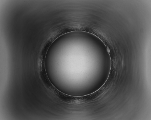 X0000097850739200803201537