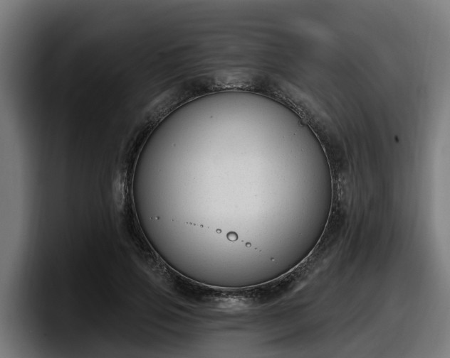 X0000097850741200803201537