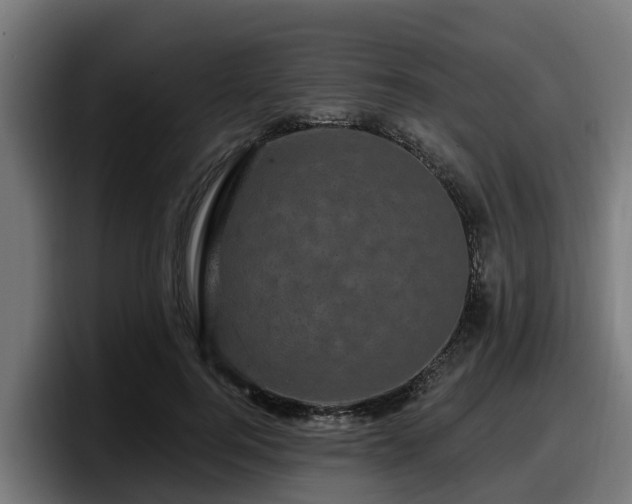 X0000097850744200803201537