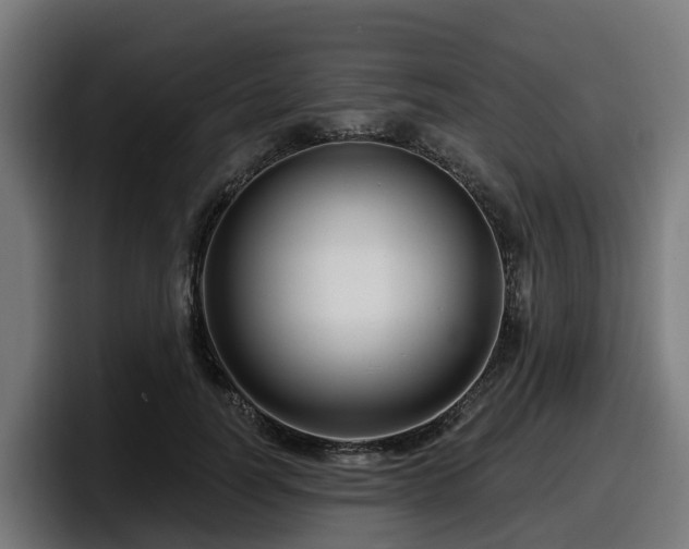 X0000097850746200803201537