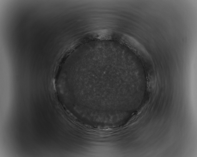 X0000097850748200803201537