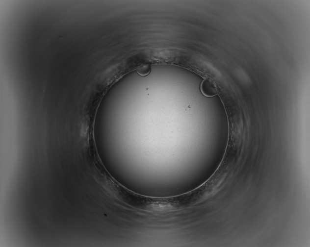 X0000097850749200803201537