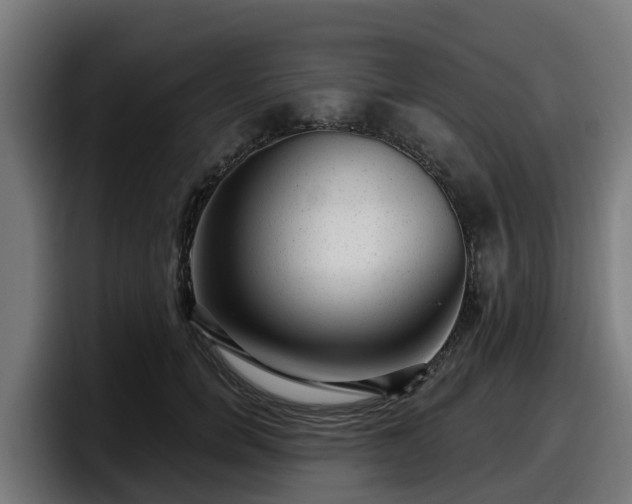 X0000097850750200803201537