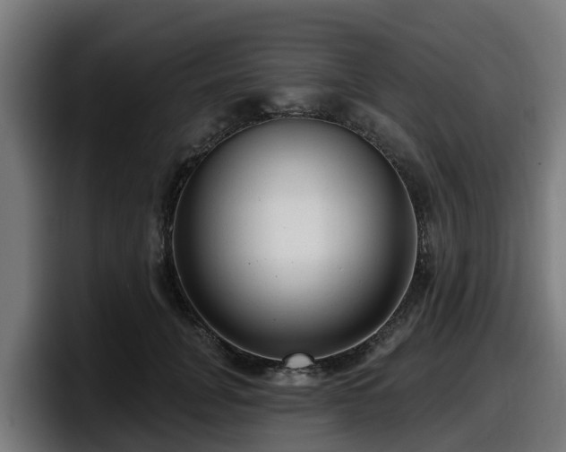 X0000097850751200803201537