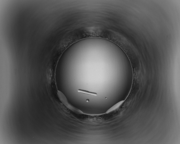 X0000097850752200803201537