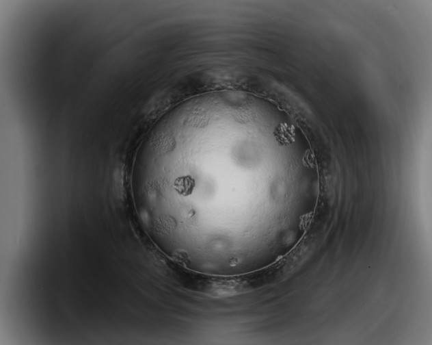 X0000097850757200803201538