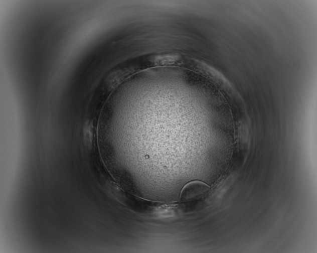 X0000097850761200803201538